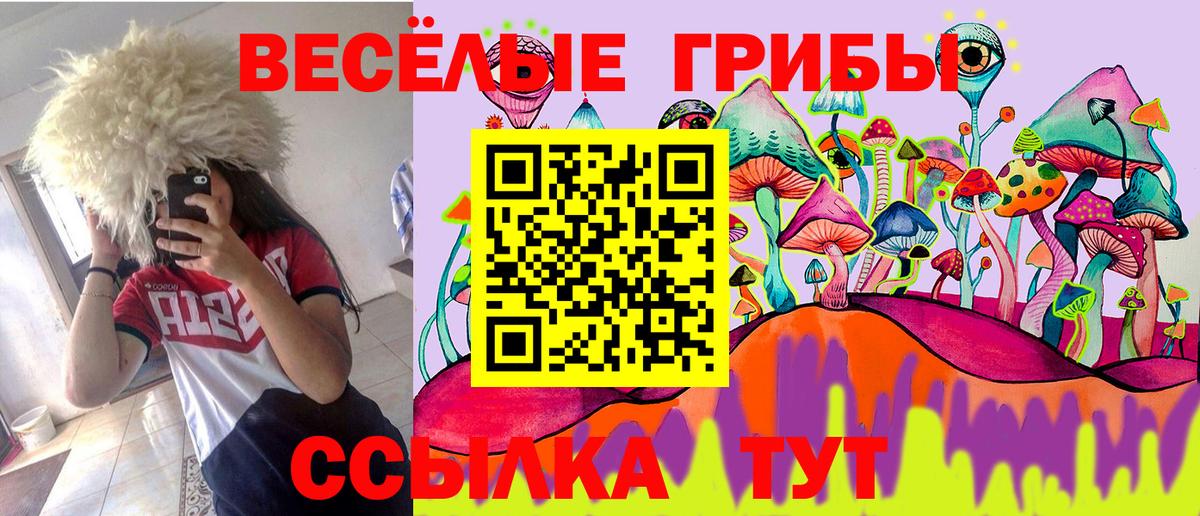 Галлюциногенные грибы MAGIC MUSHROOMS Зеленодольск
